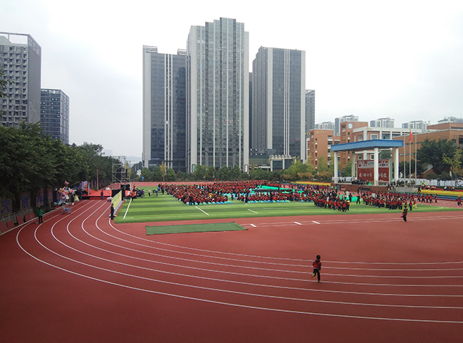 重庆天宫殿学校全塑型塑胶运动场