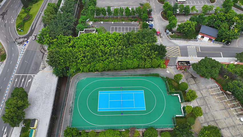 ����״ԪСѧ���Ա�ϩ���˶���